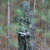 CamoSystems Jackal Ghillie Suit